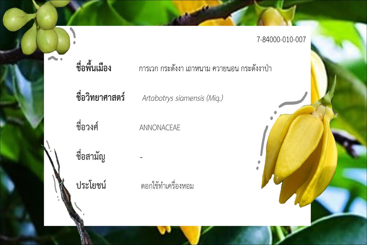 by Kruthinkandan.net
